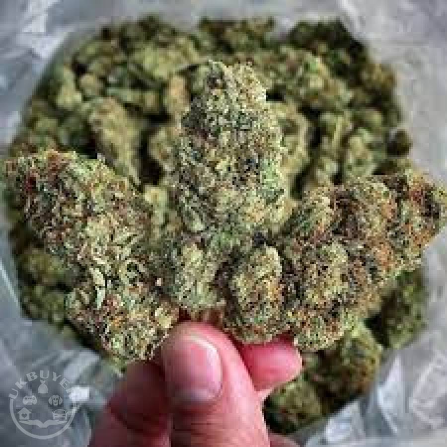 Buy top Shelf Marijuana Indoor strains 
