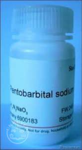 NEMBUTAL PENTOBARBITAL SODIUM FOR SALE WITHOUT PRESCRIPTION ONLINE