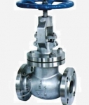 GLOBE VALVES IN KOLKATA