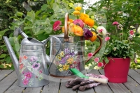 Duqaa Watering Cans