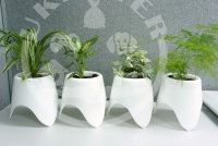 Duqaa Self Watering Planters