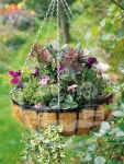 Stylish Durable Hanging Baskets