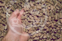 midland_feeds_mixed_pellet_ukbuyer_3